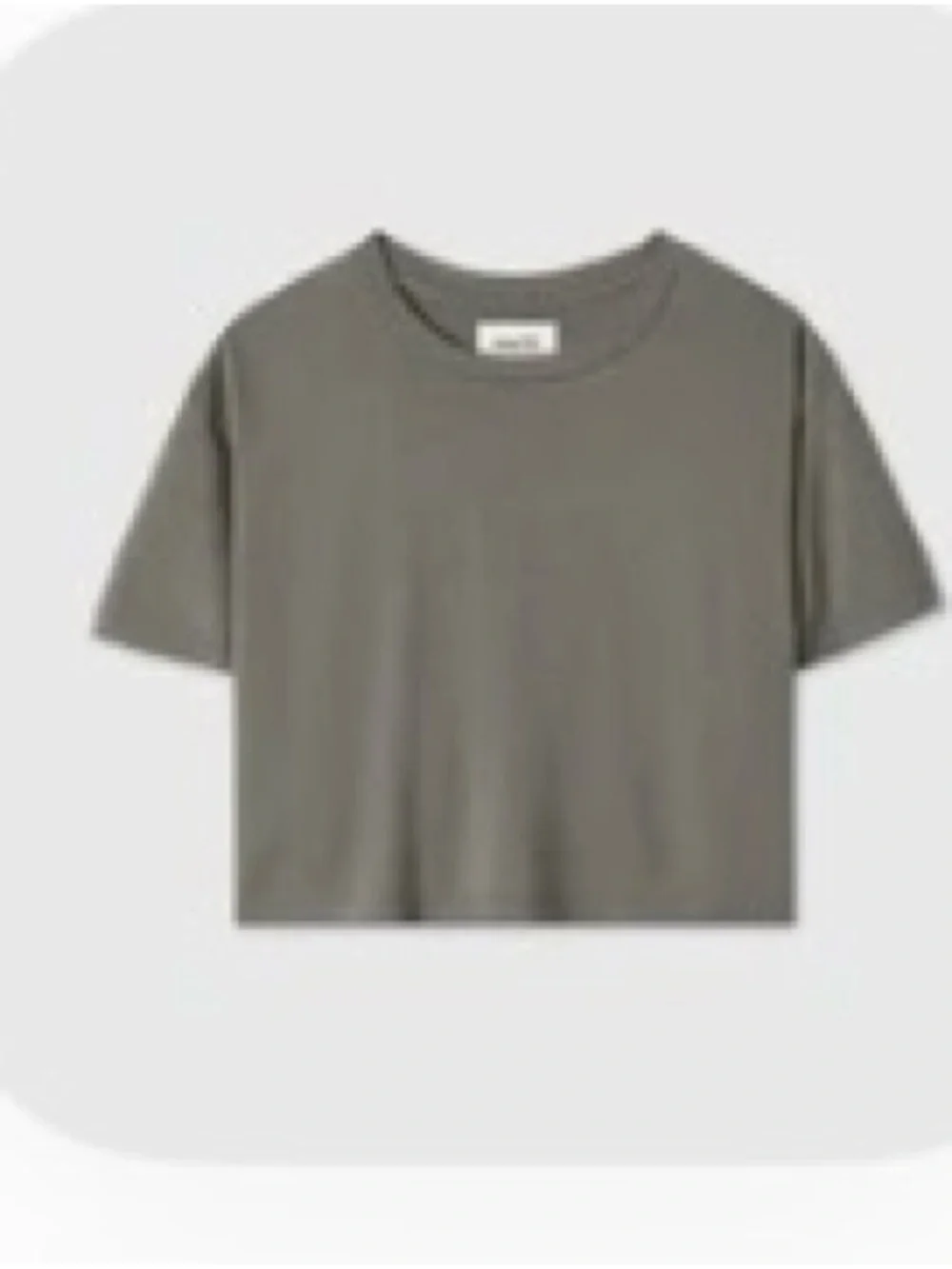 MATE the Label Organic Cotton Relaxed Crop Tee Forest Medium - Picture 2 of 7